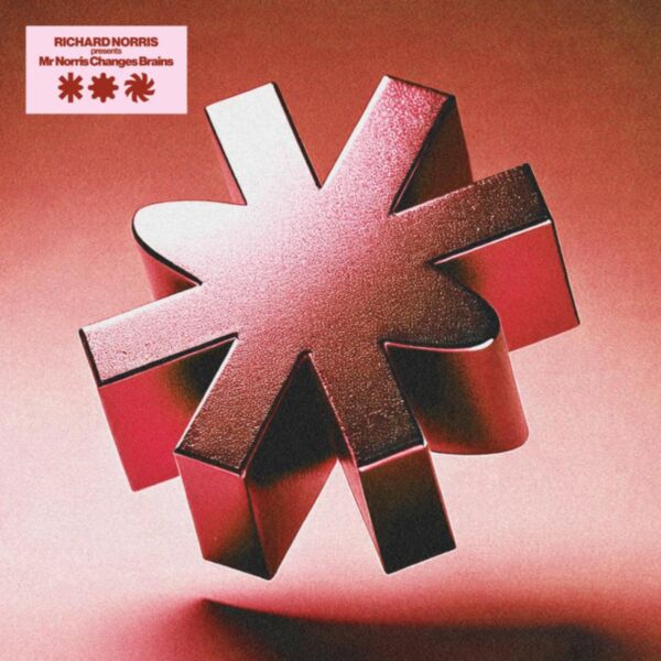 MR NORRIS CHANGES BRAINS