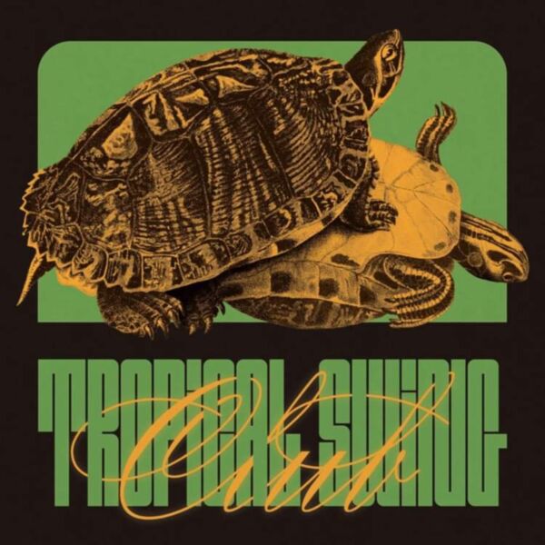 TROPICAL SWING CLUB / FICTIONAL LOVE SCENES