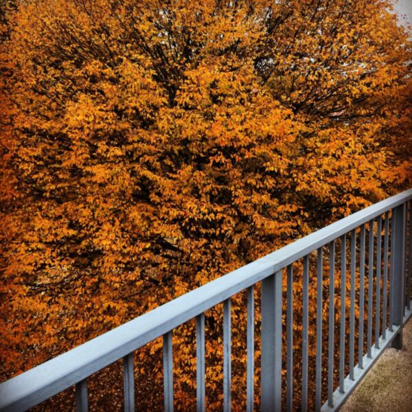 BOOTHFERRY