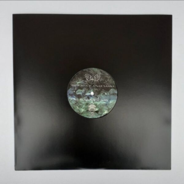 TRANSITION/INTUITION