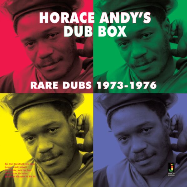 DUB BOX - RARE DUBS 1973-1976 (REPRESS)