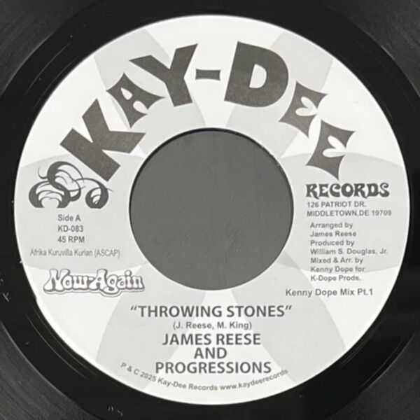 THROWING STONES (KENNY DOPE MIXES)