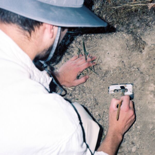 LOVE-FIDELITY OR HISS GOODBYE