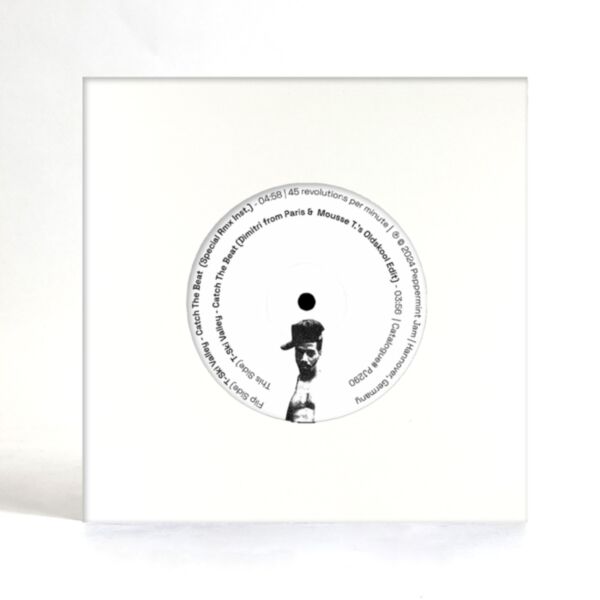 CATCH THE BEAT DIMITRI FROM PARIS & MOUSSE T. OLDSKOOL EDIT