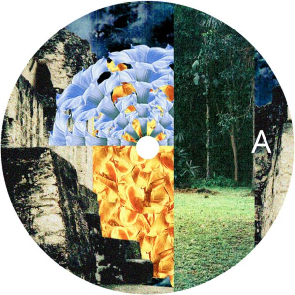 WANDERFLOWER / EZRA'S GARDEN