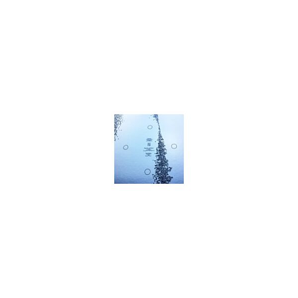 NOUS'KLAER AUDIO SUMMER SAMPLER '21 (PART TWO)