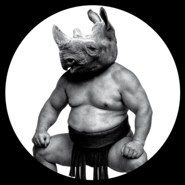 BETWEEN SAND AND ROSES