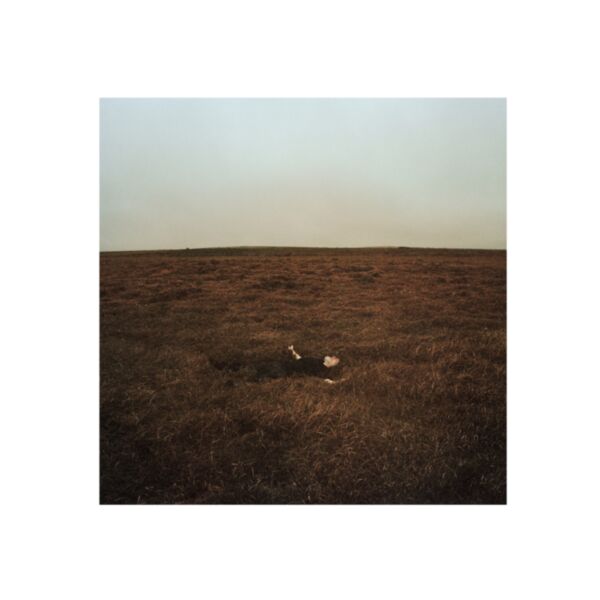 THE CITY COMING TO ERASE IT ALL