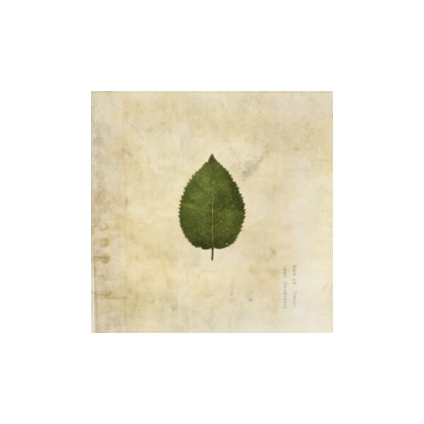 THE COLD STILL (ARMY GREEN VINYL)