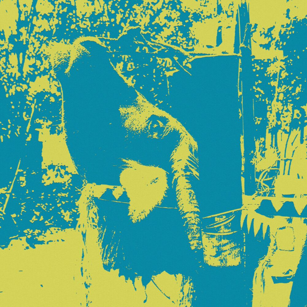 GONGS OF THE BAHNAR: A BUFFALO SACRIFICE CEREMONY main product photo