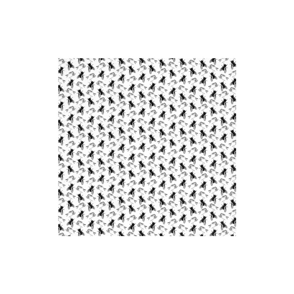 TWO FLIES IN ONE CLAP main product photo