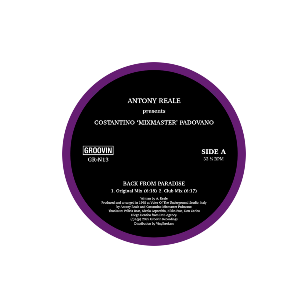 BACK FROM PARADISE main product photo