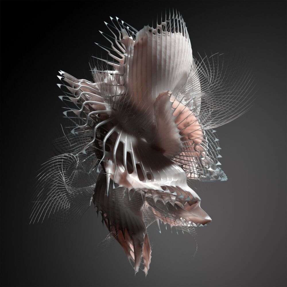 DOMINATOR EP main product photo