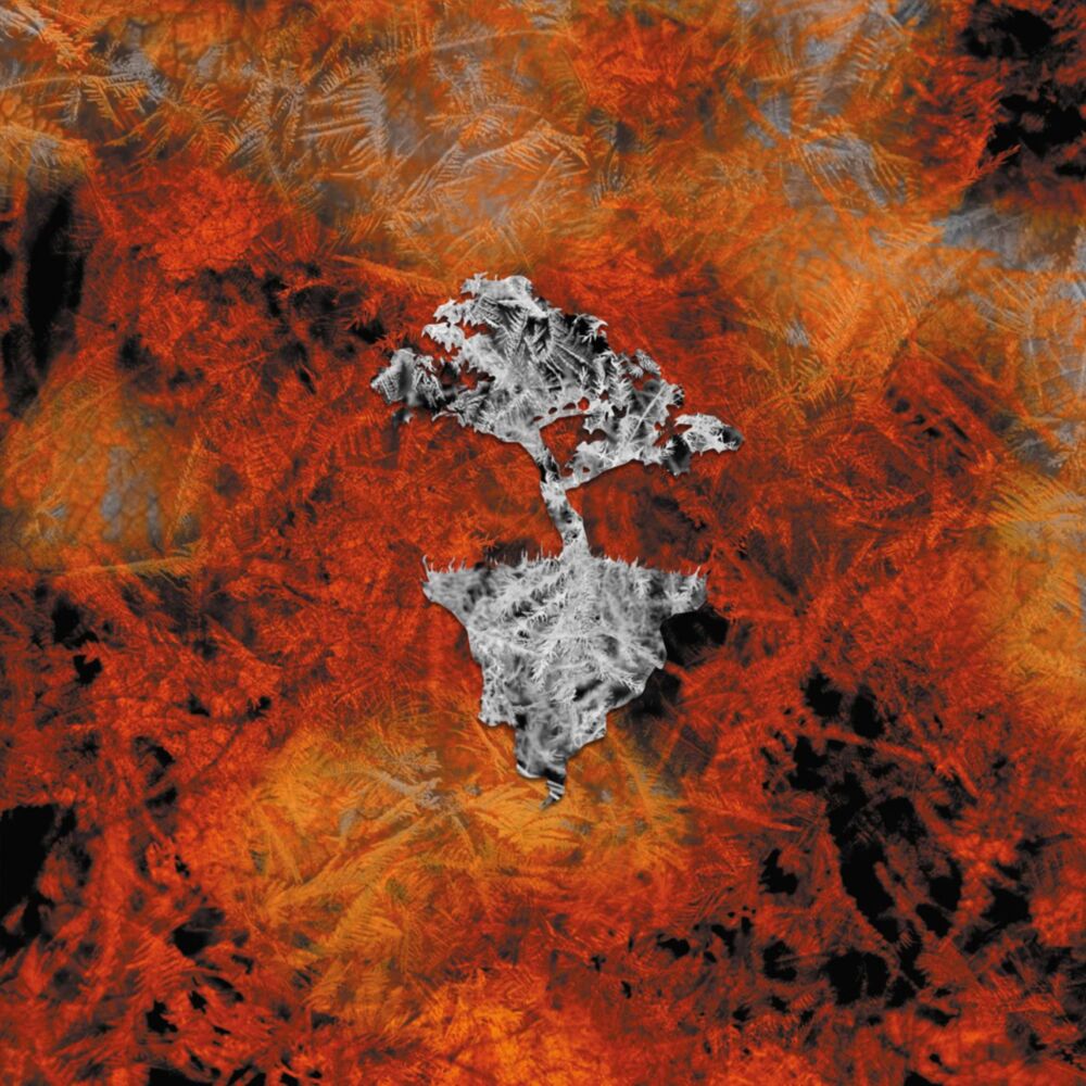 SHURIKEN SHOCK / BLOSSOM main product photo