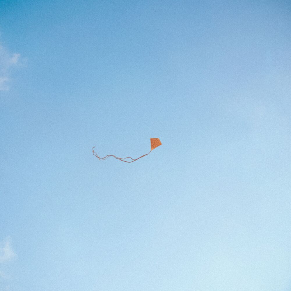 LOST, FOUND & FORGOTTEN... main product photo