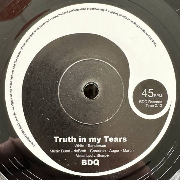 TRUTH IN MY TEARS / WASN'T IT YOU