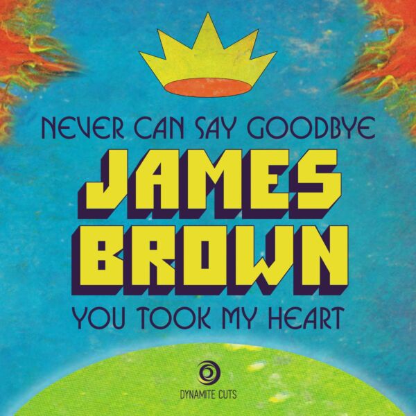 NEVER CAN SAY GOODBYE