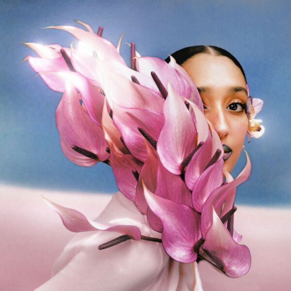 WHERE THE BUTTERFLIES GO IN THE RAIN (CLEAR VINYL)