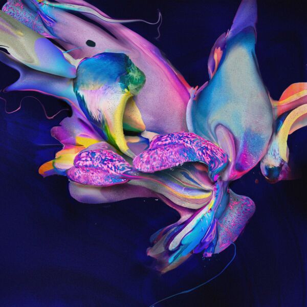 FMS004LP.jpg