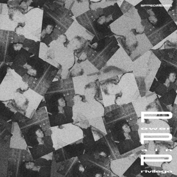 POWER PAIN PRIVILEGE