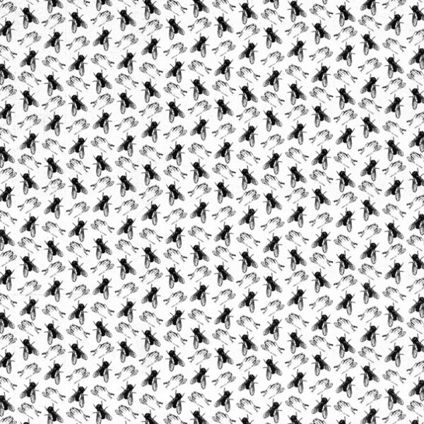 TWO FLIES IN ONE CLAP