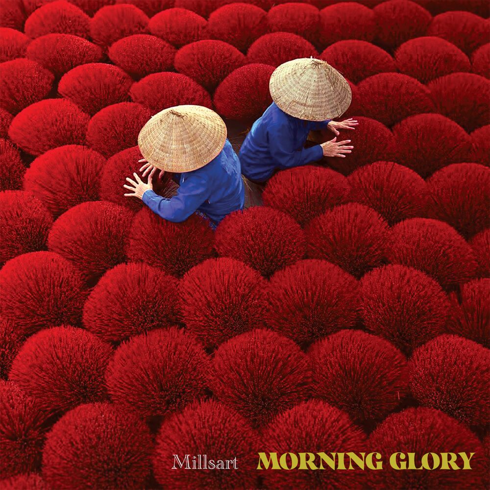 MORNING GLORY main product photo