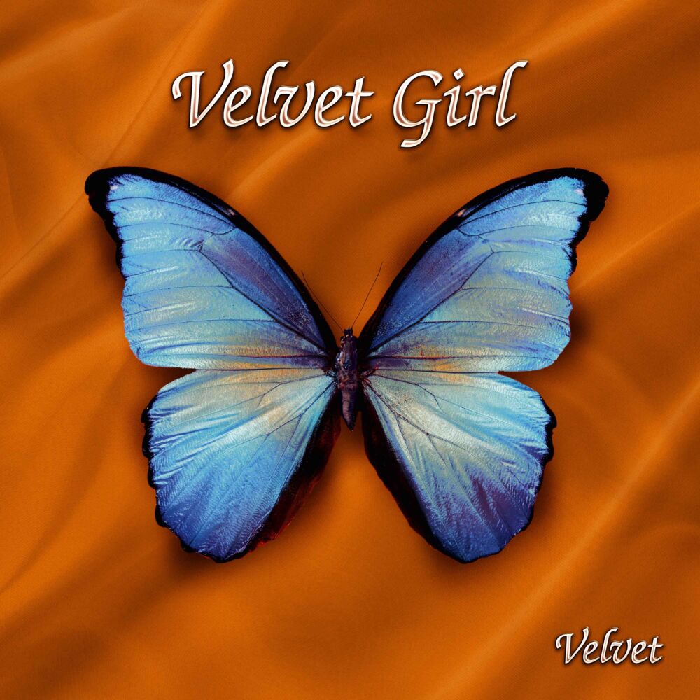 VELVET main product photo