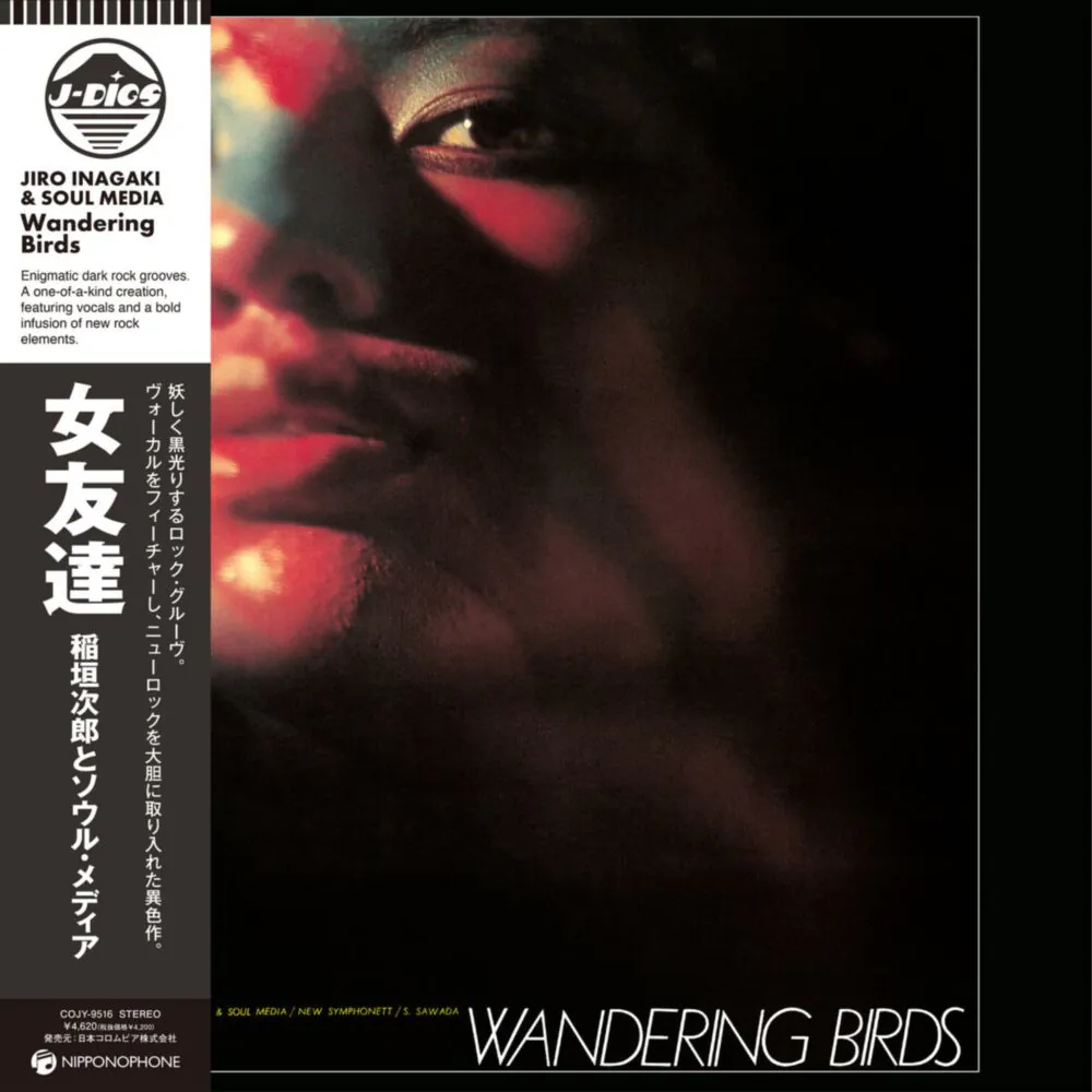 WANDERING BIRDS (CLEAR PURPLE VINYL) (LP) by JIRO INAGAKI