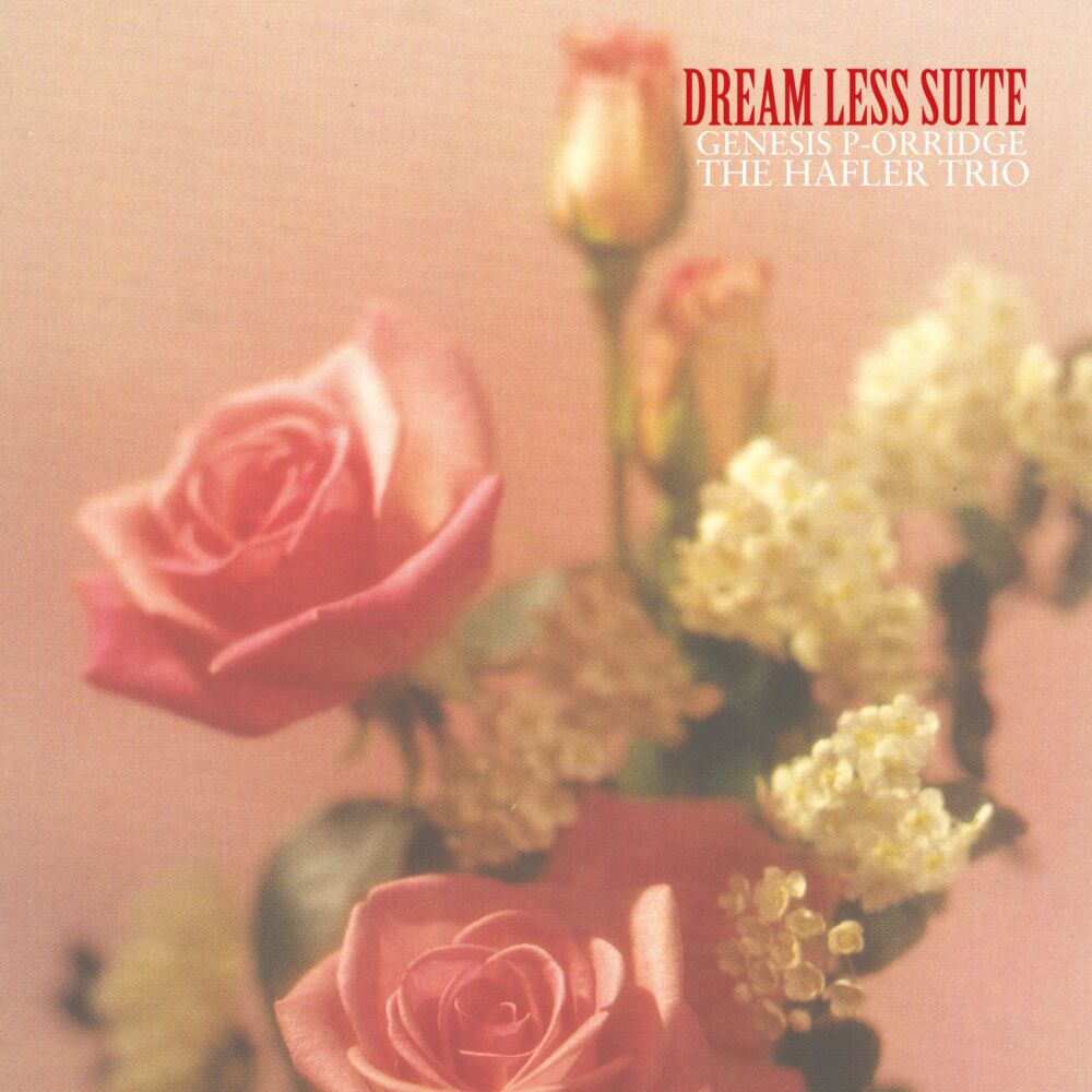 DREAM LESS SUITE main product photo