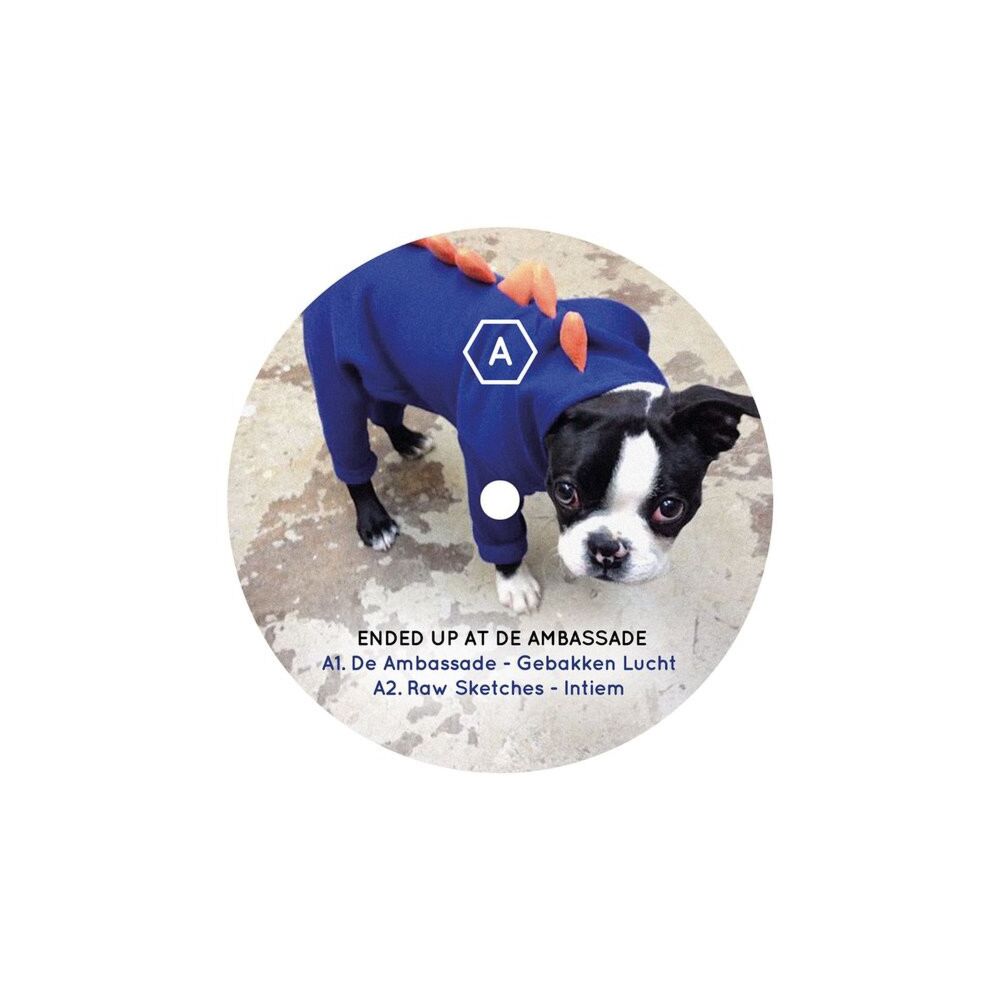 ENDED UP AT DE AMBASSADE EP main product photo