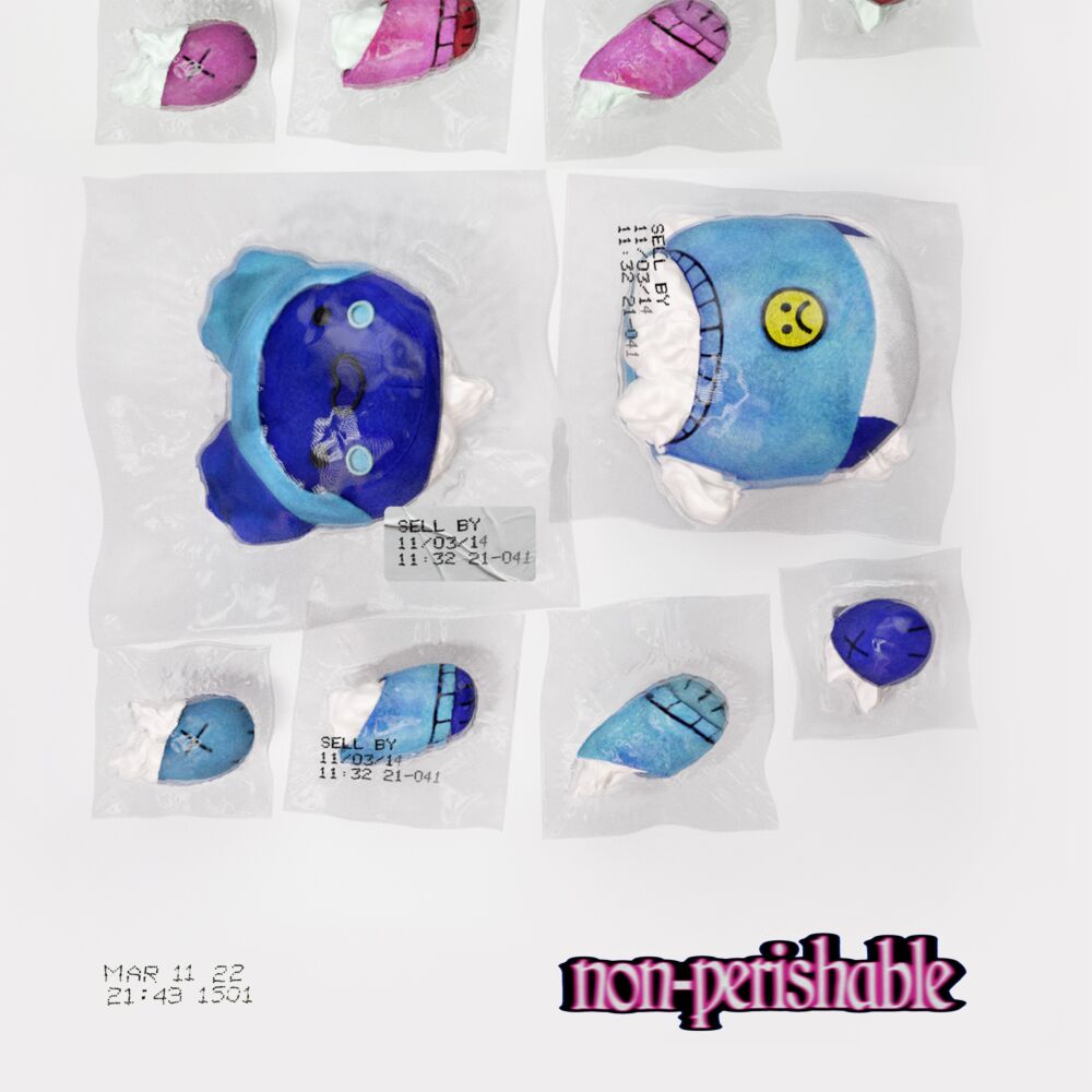 NON-PERISHABLE (MILKY CLEAR VINYL) main product photo