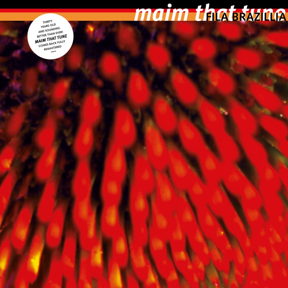 MAIM THAT TUNE (30TH ANNIVERSARY REPRESS) main product photo
