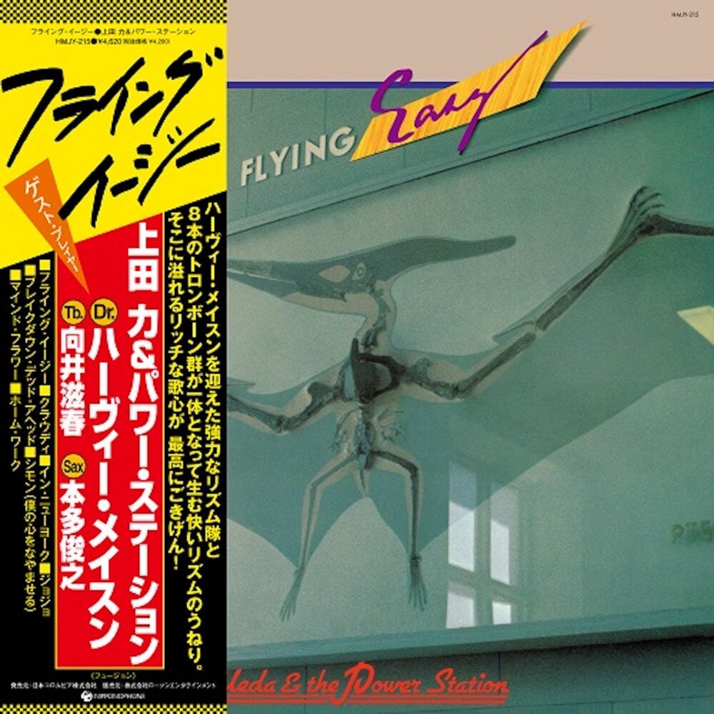 FLYING EASY main product photo