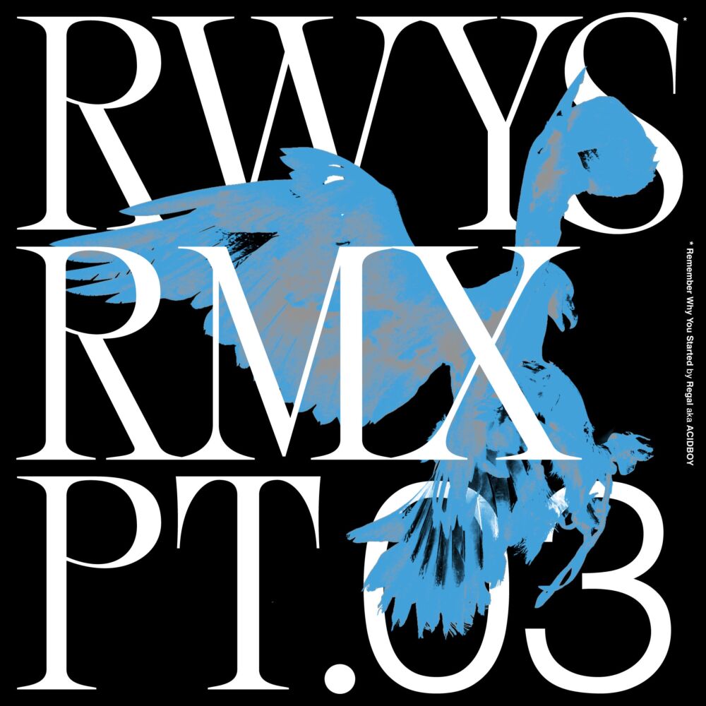 RWYS REMIXES PT. 03 main product photo