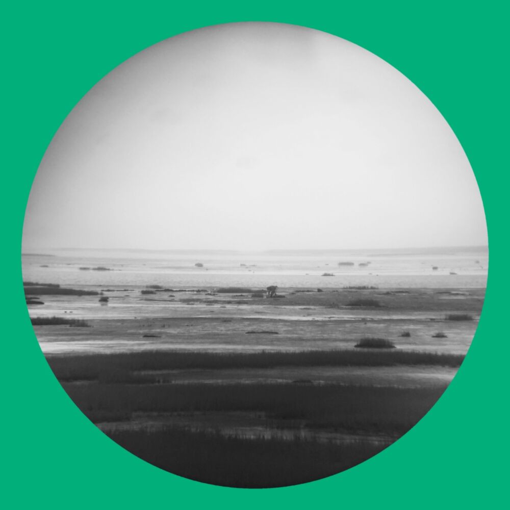 GUTS MAGNET SEA main product photo