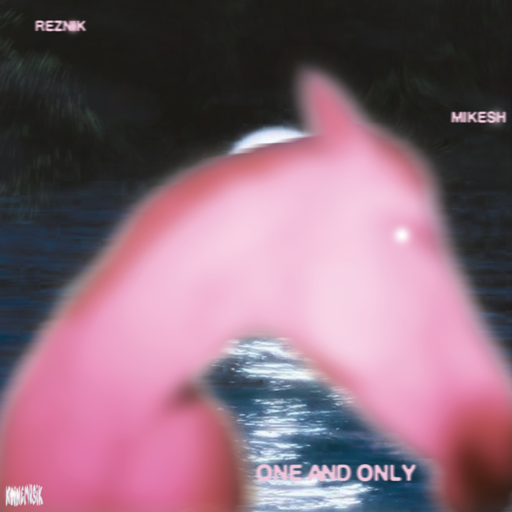 ONE AND ONLY main product photo