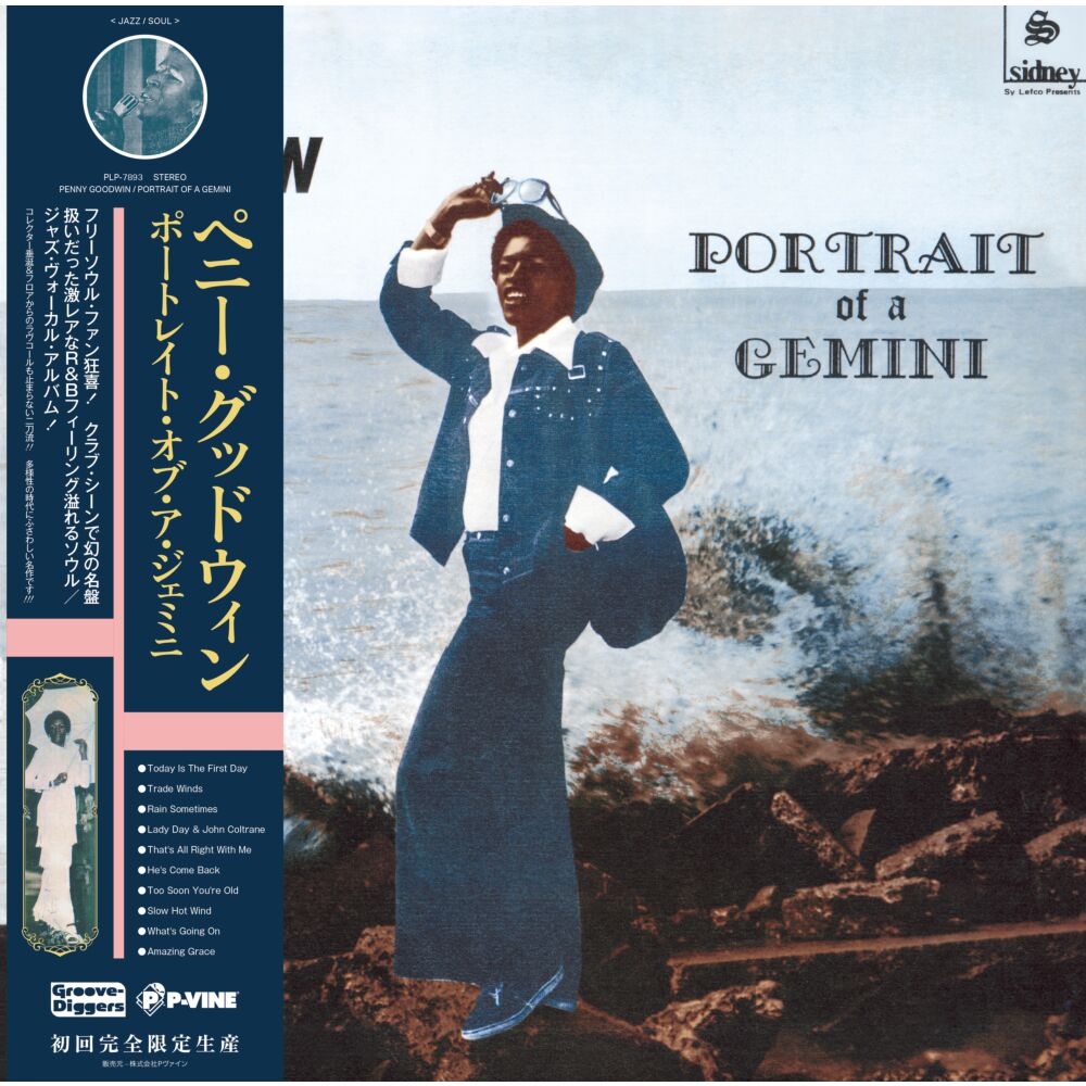 PORTRAIT OF A GEMINI main product photo