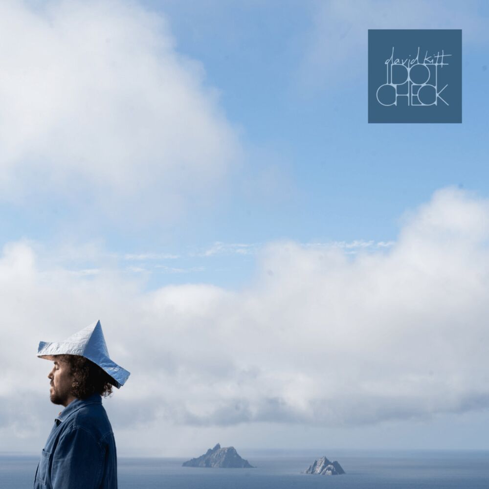 IDIOT CHECK main product photo