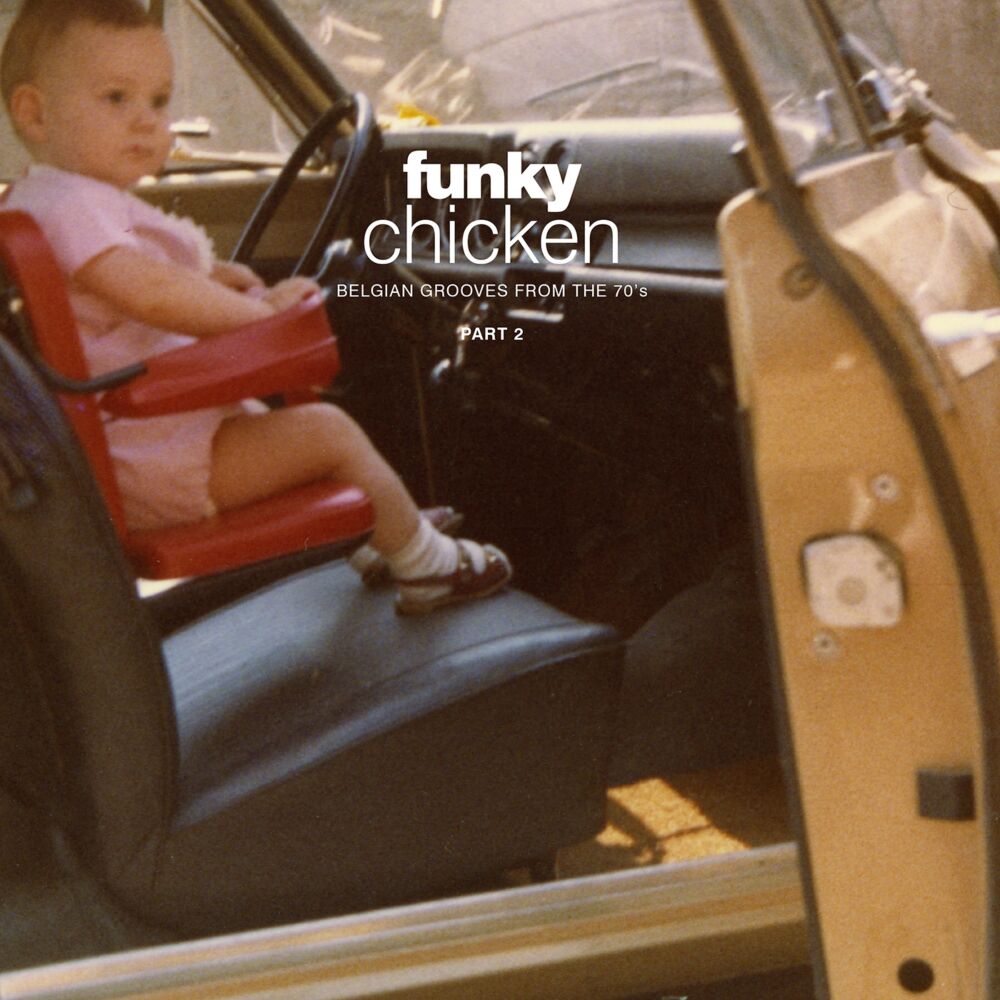 FUNKY CHICKEN PART 2 main product photo