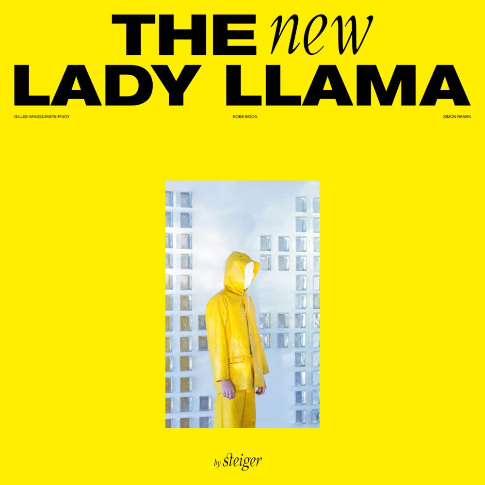 THE NEW LADY LLAMA main product photo