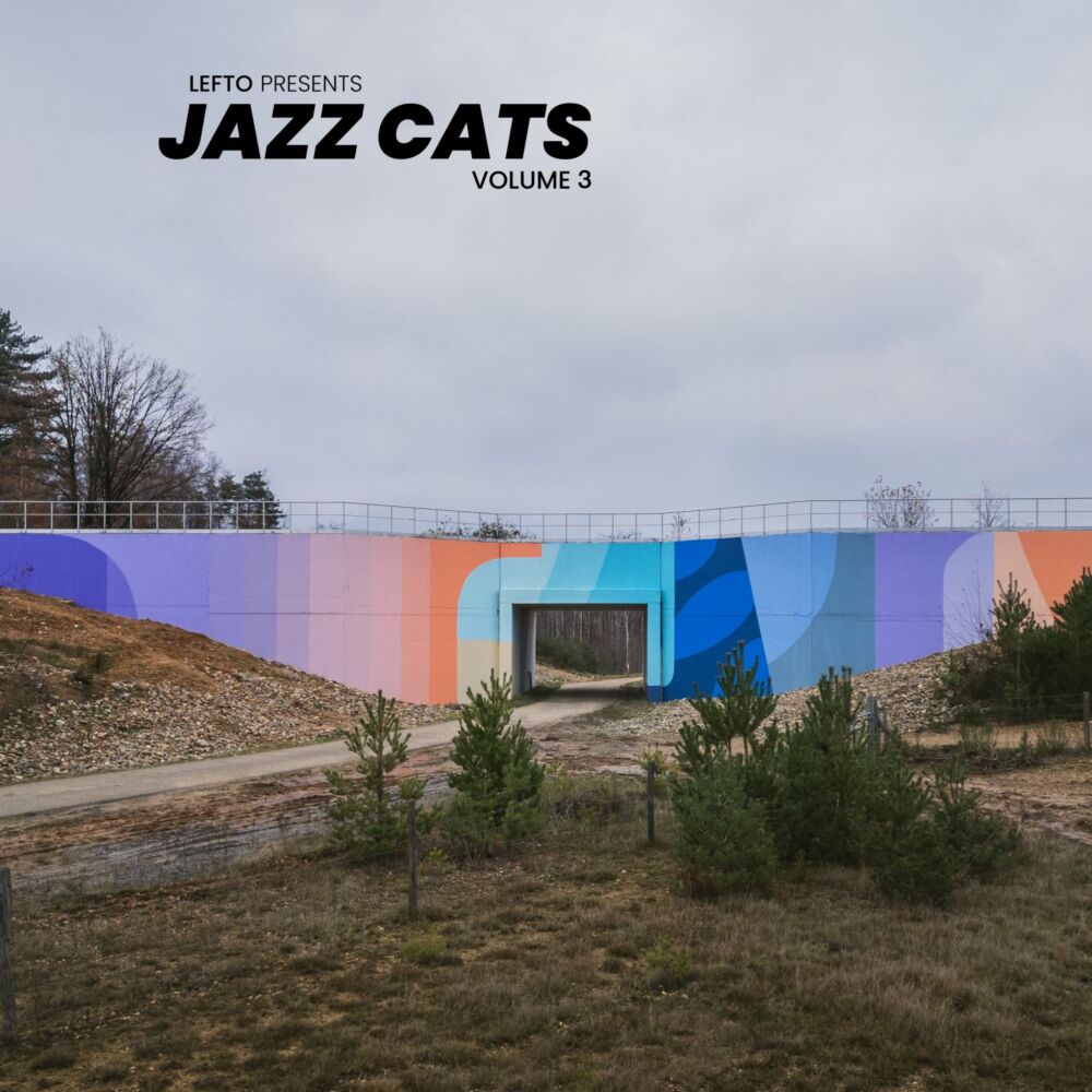 LEFTO PRESENTS JAZZ CATS VOLUME 3 main product photo