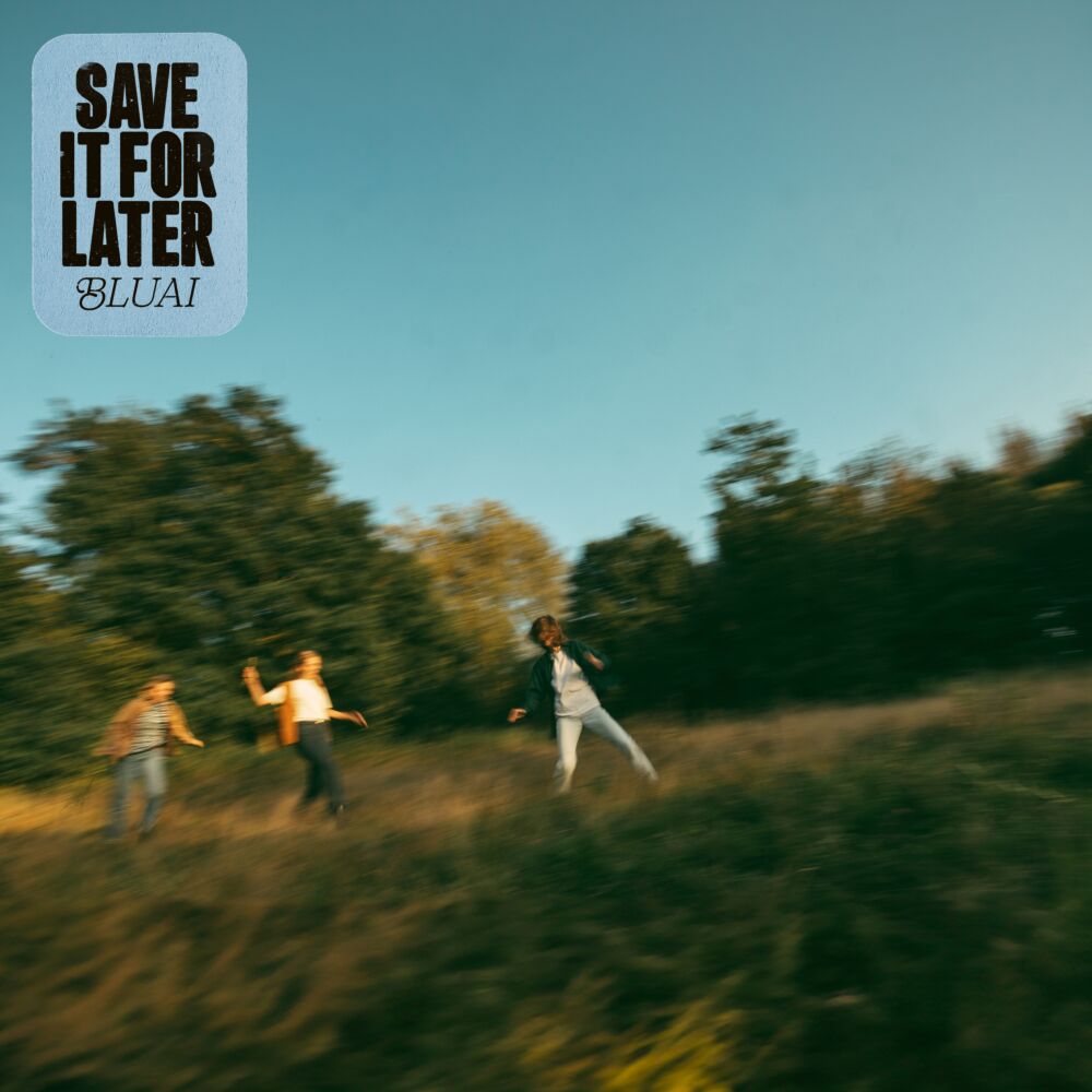 SAVE IT FOR LATER (REPRESS) main product photo