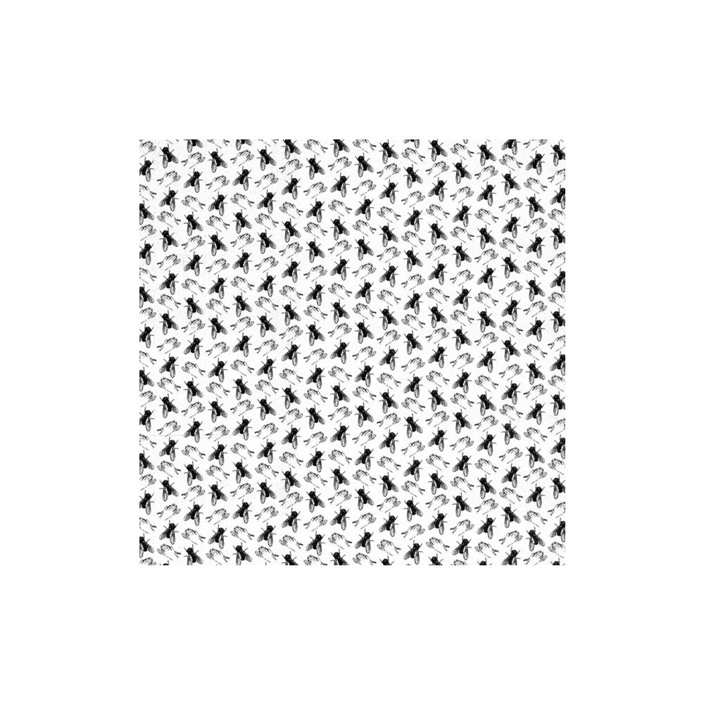 TWO FLIES IN ONE CLAP main product photo
