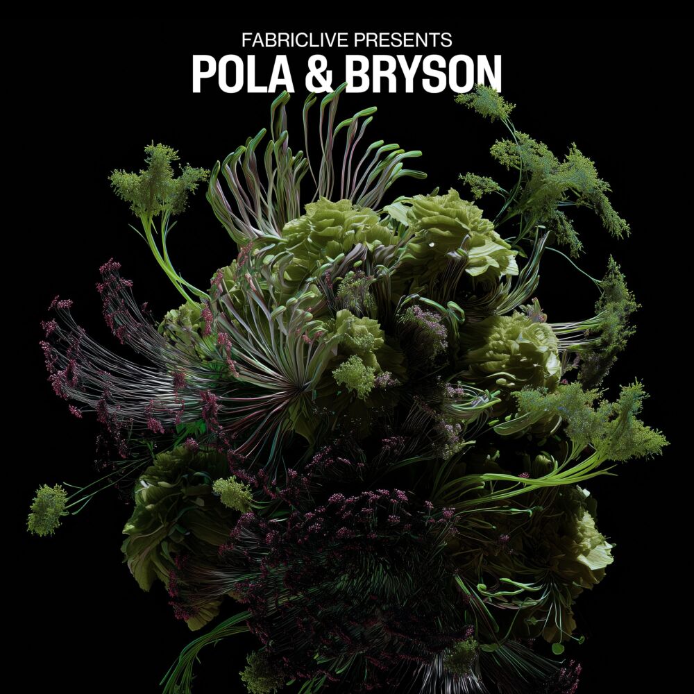 FABRICLIVE PRESENTS: POLA & BRYSON main product photo